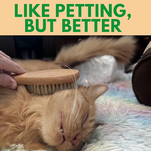 GranNaturals Boar Bristle Soft Cat Brush for Indoor, Outdoor, Short Haired Cats, Kittens, Small Dog, Rabbit, Furry Pets - ...