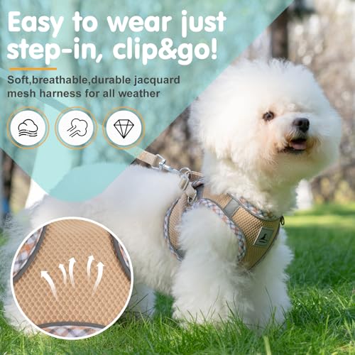 TomteNisse Dog Harness and Leash Set, No Pull Pet Harness for Small Dogs Easy Walking,Soft Breathable Small Dog Harness,Ad...