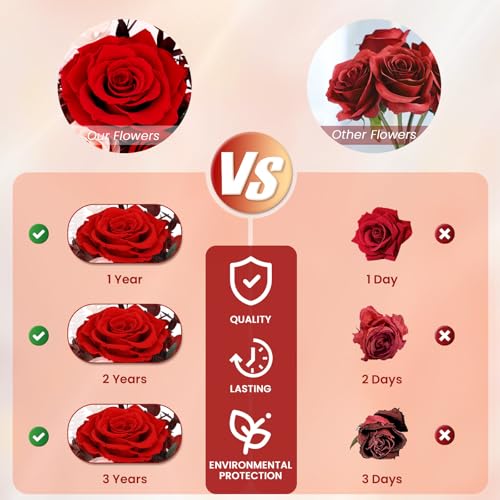Alupssuc Forever Preserved Real Flowers for Delivery Prime, Eternal Fresh Roses in Glass Dome with LED Lights, Mothers Day...