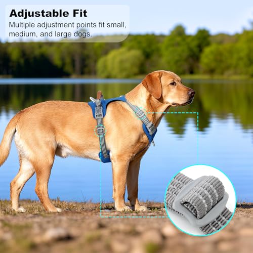 ApakBak No Pull Dog Harness – Adjustable Reflective Nylon Vest for Small Medium Large Dogs, Escape Proof Training Harness ...