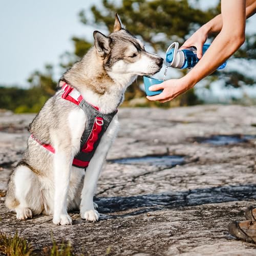 Kurgo Gourd 2 in 1 Dog Travel Water Bottle, Pet Water Bottle, Portable Water Dish for Dogs, Detachable Bowl, PVC/BPA Free,...
