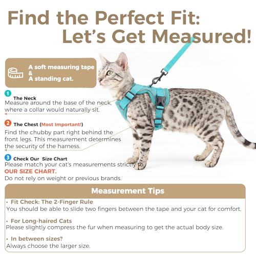 pangdi Cat Harness and Leash Set Escape Proof Tactical Large Kitten Harness Emotional Support Cat Vest, Turquoise, L