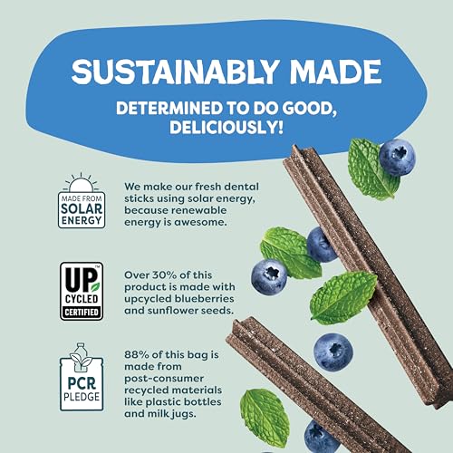 Shameless Pets Blueberry & Mint Dental Chews for Dogs, 8 Chews - Natural Dog Teeth Cleaning Treats with Fresh Breath Benef...