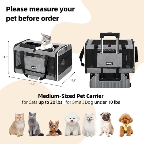 PAPZER Cat Carrier Soft-Sided Travel Bag for Medium to Large Cats Over 15lbs, Small Dog Carrier Crate Top Entry Breathable...