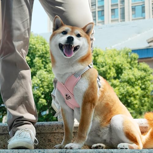 Patas Lague Dog Harness with Leash Set Adjustable Soft Padded Step-in Dog Vest No Choke No Pull Reflective for Small Mediu...