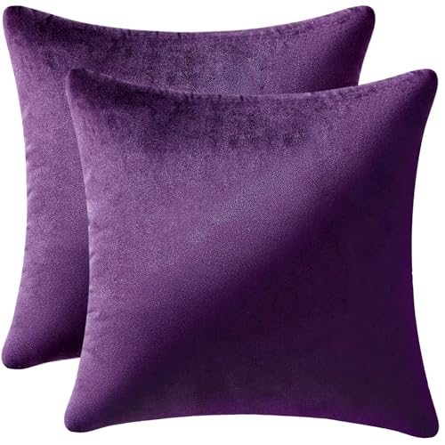 MIULEE Velvet Throw Pillow Covers 18x18 Inch, Pack of 2 - Eggplant Purple, Super Soft Decorative Square Cushion Cases Mode...