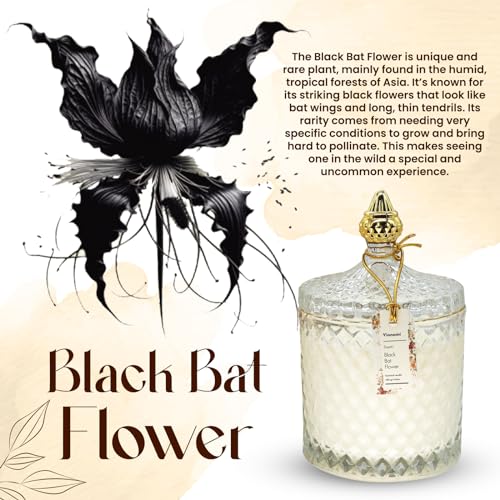VIONAMI Luxury Scented Candle Gift – Black Bat Rare Flower Fragrance in Elegant Glass Jar, Decorative Soy Candles Gifts fo...