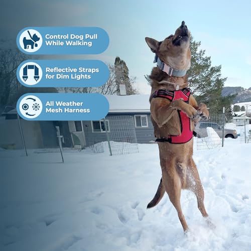 Voyager Dog Harness Dual Leash Attachment No-Pull Control Adjustable Soft but Strong Pet Harness for Medium and Large Dogs...