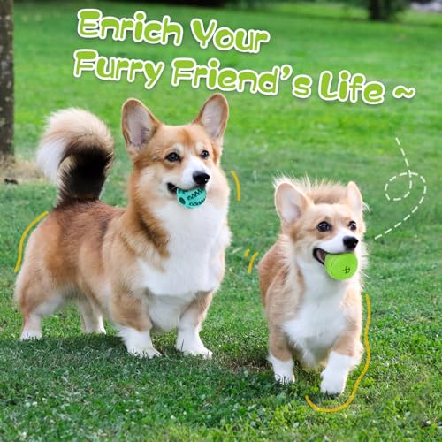 HIPPIH Dog Puzzle Toy 2 Pack, Interactive Dog Toys for Treat Dispensing, Durable Puppy Toys for Teething, Dog Treat Ball f...