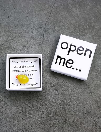 funfeel I Love You Gift, Duck Gift, Matchbox Gift, Gift For Boyfriend, Gift For Girlfriend, Valentine's Day Gift