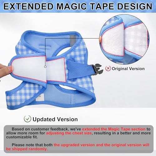 AIITLE No Pull Dog Harness and Leash Set, Step in No Chock Soft Mesh Dog Harnesses Reflective for Extra-Small Puppy Dogs a...