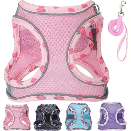 Petank Dog Harness for Small Medium Dogs No Pull, Puppy Harness and Leash Set, Mesh Adjustable Breathable Light Vest for W...