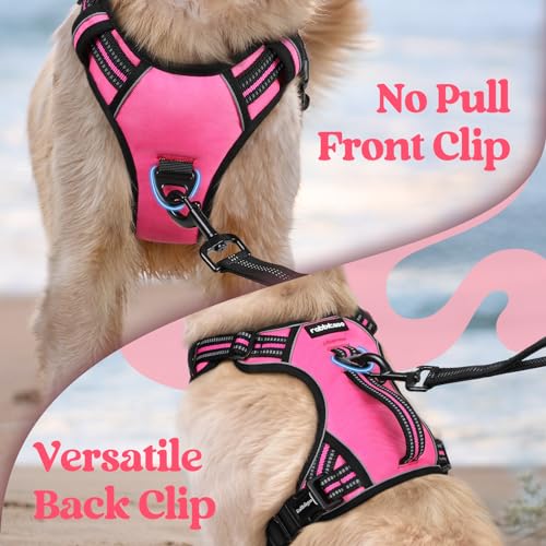 rabbitgoo Dog Harness Small Sized Dog, No Pull Pet Harness with Soft Padded Handle, Adjustable Reflective Vest with 3 Buck...