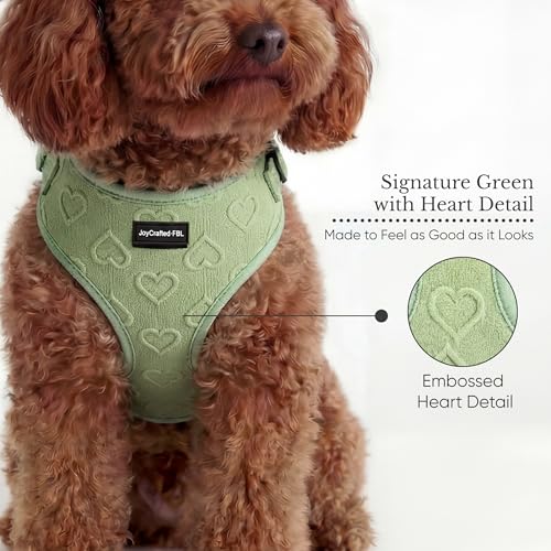 JoyCrafted-FBL No Pull Dog Harness & Leash Set | Lightweight Breathable Neoprene, Cute Heart Pattern, Adjustable Step-in V...