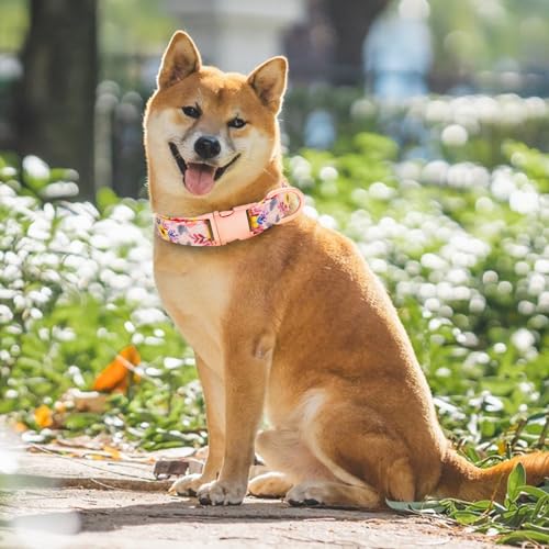 HSIGIO Dog Collar and Leash Set Girls Adjustable Puppy Collars with Floral Bow Tie for Small Medium Large Female Dogs, Pin...