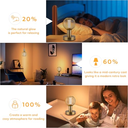 Harwez Decorative LED Light Bulb, Golden Metal Mesh Cover, E26 Medium Base, LED Lights for Bedroom Floor Lamp, Ceiling Lig...
