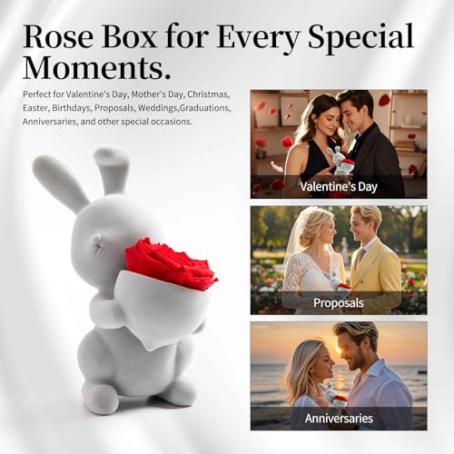 SEEROSE Preserved Rose with Cute Rabbit, Forever Real Rose Last for Years, Romantic Flower Gift for Her, Wife, Girlfriend,...