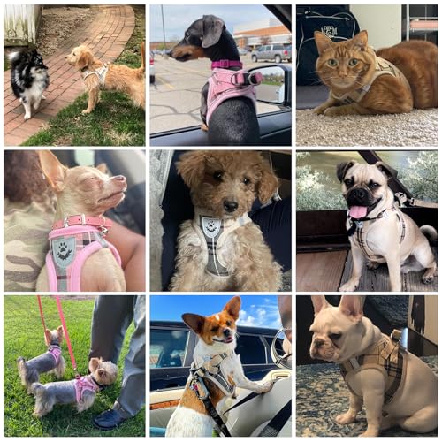 KOOLTAIL Dog Harness for Small Medium Dogs,Dog Harness and Leash Set, Step in No Pull Soft Mesh Padded Adjustable and Refl...