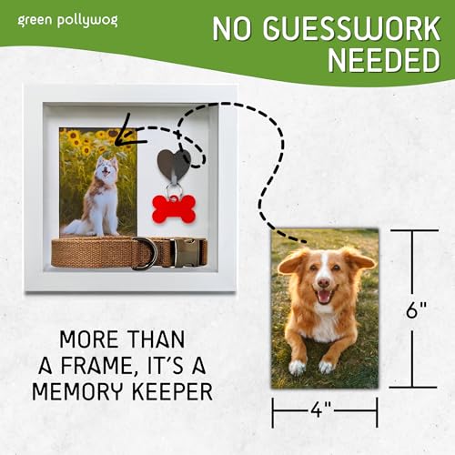 Green Pollywog Pet Memorial Shadowbox with Photo, Tag & Collar Display | White Frame with 4” x 6” Picture Opening | 10” x ...