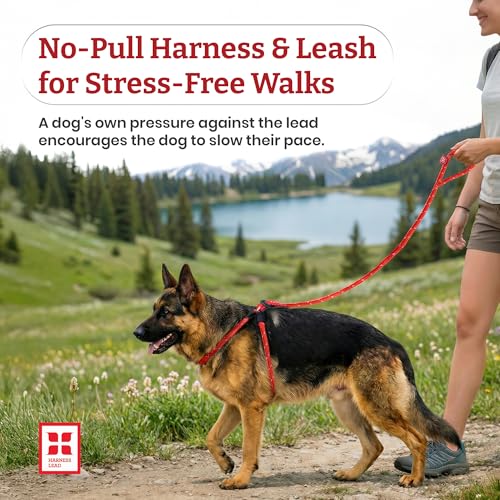 Harness Lead No Pull Dog Harness and Leash Set, Anti Pull Dog Harness for All Breeds and Sizes, One-Piece Cushioned Rope D...