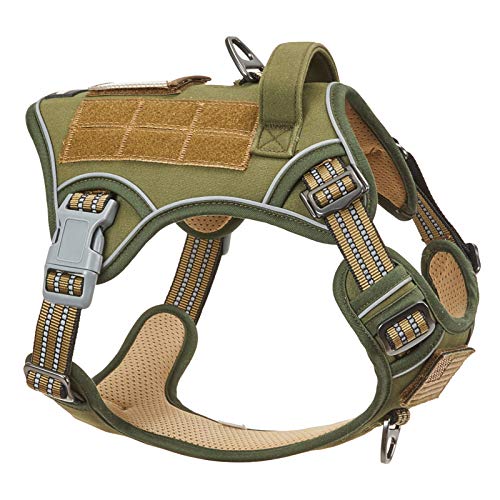 BUMBIN Tactical Dog Harness for Medium Dogs No Pull, Famous TIK Tok No Pull Dog Harness, Fit Smart Reflective Pet Walking ...