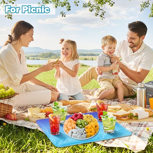 MALLMALL6 Reusable Freezable Ice Mat - 2Pcs Cooling Keeping Food Fresh Serving Tray for Outside Picnic Party Buffet, 19.7 ...
