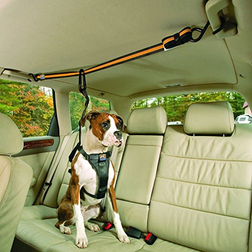 Kurgo Auto Zip Line - Backseat Zipline Harness for Car Travel - Dog Car Accessory for Safe Rides - Adjustable Pet Tether -...