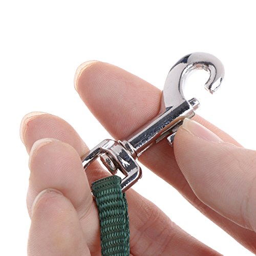 ASOCEA Adjustable Bird Harness and Leash for Yellow Naped Amazons Galah Cockatoos Small to Medium Breed Parrots Fits Birds...