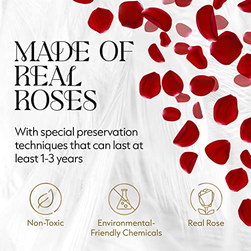 GLAMOUR BOUTIQUE Flowers Forever Gift Box, 12 Real Preserved Roses in Velvet Box, Floral Gift for Her, Mom or Wife for Bir...