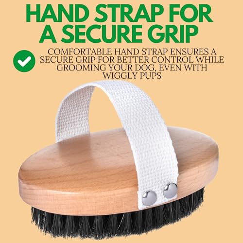 GranNaturals Soft Bristle Dog Brush for Short Haired Dogs & Cats w/Strap - Wooden Handle & Gentle Boar Bristles for Deshed...