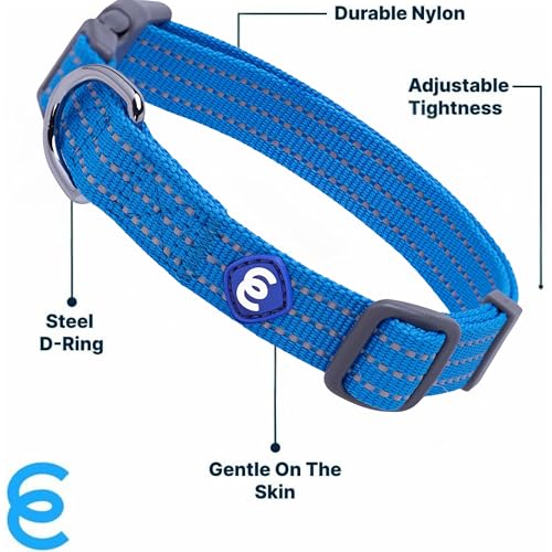 Blueberry Pet Dog Harness and Leash Set, Puppy Essentials for Large Dogs, Medium Sized Dogs, and Puppies, Reflective Dog C...