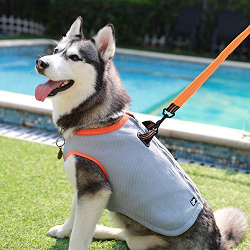 JUXZH Truelove Dog Cooling Vest Harness Cooler Jacket with Adjustable Zipper for Outdoor Hunting Training and Camping Green