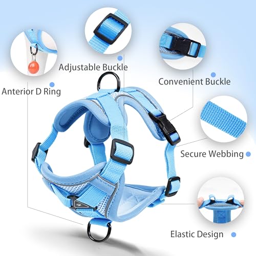 Jolifield No Pull Dog Harness with Leash Set for Small Sized Dog, Reflective Adjustable No Choke Front Clip Cat Vest Harne...