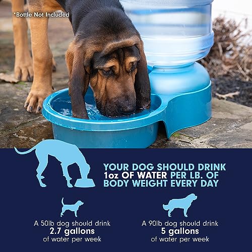 Petmate Big Blue Outdoor Water Bowl, 5 Gallons, (Water Jug Not Included), Made in USA
