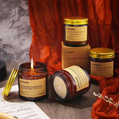 MTLEE 12 Pack Scented Candles for Home, Candles Gift Set Long Lasting Soy Candle Aromatherapy Jar Candle Bulk for Women Me...
