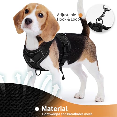 Jolifield No Pull Dog Harness with Leash Set for Small Sized Dog, Reflective Adjustable No Choke Cat Vest HarnessSoft Padd...