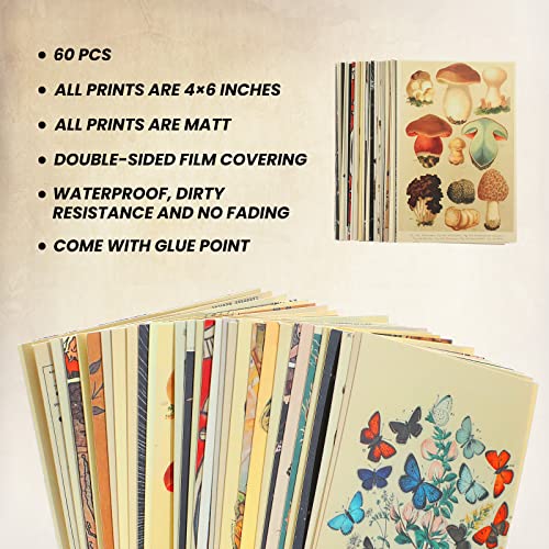 Containlol 60 Pcs Vintage Wall Collage Kit Maximalist Paintings Art Prints Botanical Illustration Tarot Aesthetic Vintage ...