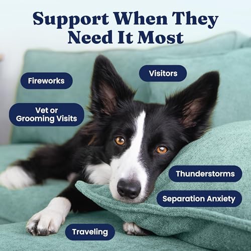 Solid Gold Calming Chews for Dogs - Dog Calming Chews w/Melatonin for Separation, Stress & Hyperactivity Relief - Supports...