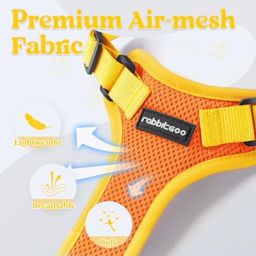rabbitgoo Cat Harness and Leash Set, Escape Proof Soft Adjustable Vest Harnesses for Outdoor Walking, Easy Control Breatha...