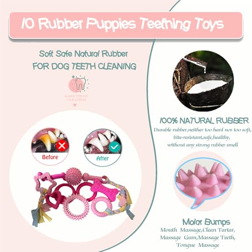 20Pcs Puppy Teething Toys for Small Medium Dogs - Cute Chew Toy Bundle Includes Plush Squeaky Toys, Rubber Ball, Rope Toy,...