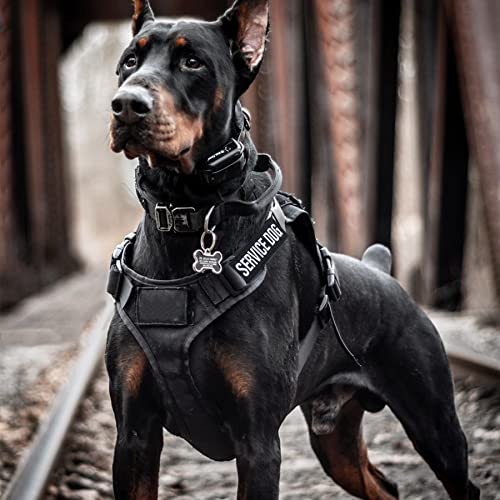 Pistha 12 Pieces Removable Tactical Dog Harness Service Dog Vest Patches Do Not Pet in Training and Emotional Support Dog ...