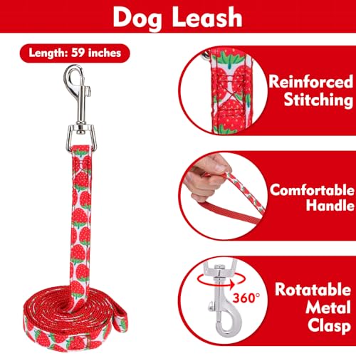 EXPAWLORER Cute Dog Harness Collar Leash Set - Red Girl Dog Harness Checkered Step-in Design, Adjustable No-Choke Lightwei...