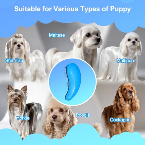 MAEELOU Small Dog Brush- Grooming Tool for Teddy, Yorkies, Maltese, Shih Tzu, Chihuahua - Puppy Hair Brush (Blue)