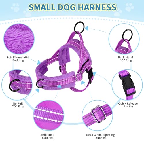 Lukovee No Pull Dog Harness and Leash Set, Soft Padded Small Dog Harness, Neck & Chest Adjustable Reflective Vest Puppy Ha...