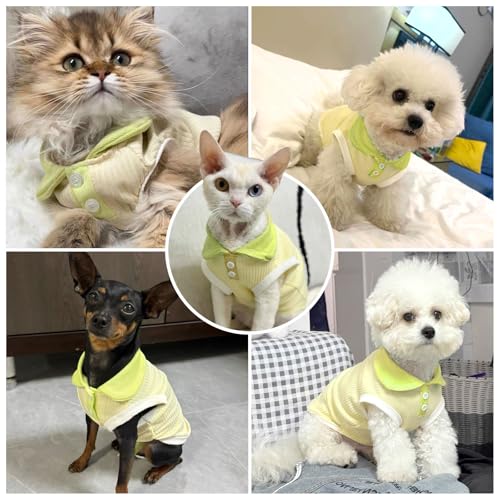 AXIIJGL Dog Tshirts for Small Dogs Polo Shirt Stretchy Dog T Shirt Breathable Dogs Cooling Vest Sweatshirts Girl Boy Puppy...