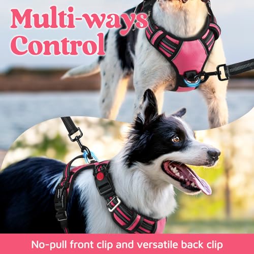 rabbitgoo Dog Harness for Large Dogs, No Pull Pet Vest with 3 Buckles, Adjustable Soft Padded Pet Harness with Easy Contro...