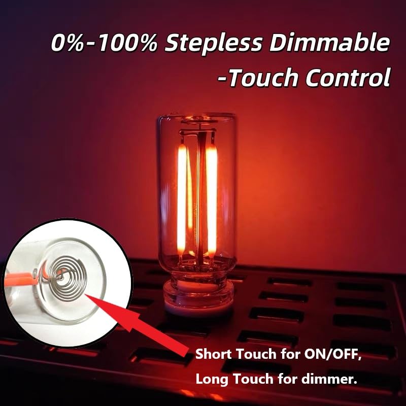 poteital 4PCS Dimmable USB Touch Control Led Night Lights, Glass Plug in USB Light Bulbs, Cute Interior Car Lights, Retro ...