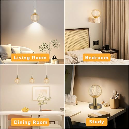 Harwez Decorative LED Light Bulb, Golden Metal Mesh Cover, E26 Medium Base, LED Lights for Bedroom Floor Lamp, Ceiling Lig...