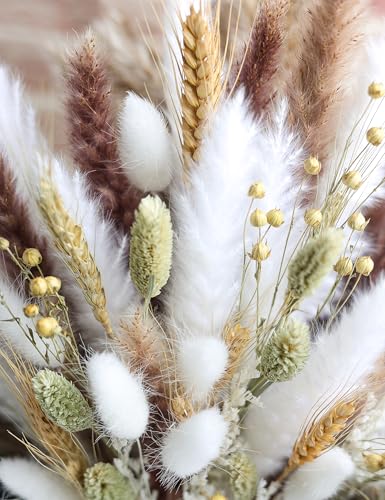 xin's convey 126pcs Dried Pampas Grass Decorations, Dried Flowers Bouquet, Reed Grass Bouquet for Boho Floral Wedding, Bed...