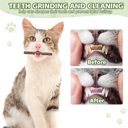 WOUSEDO 6 Pack Silvervine Sticks Cat Toy, Natural Chew Stick for Dental Care Teeth Cleaning,Matatabi Cat nip Treat Toys fo...
